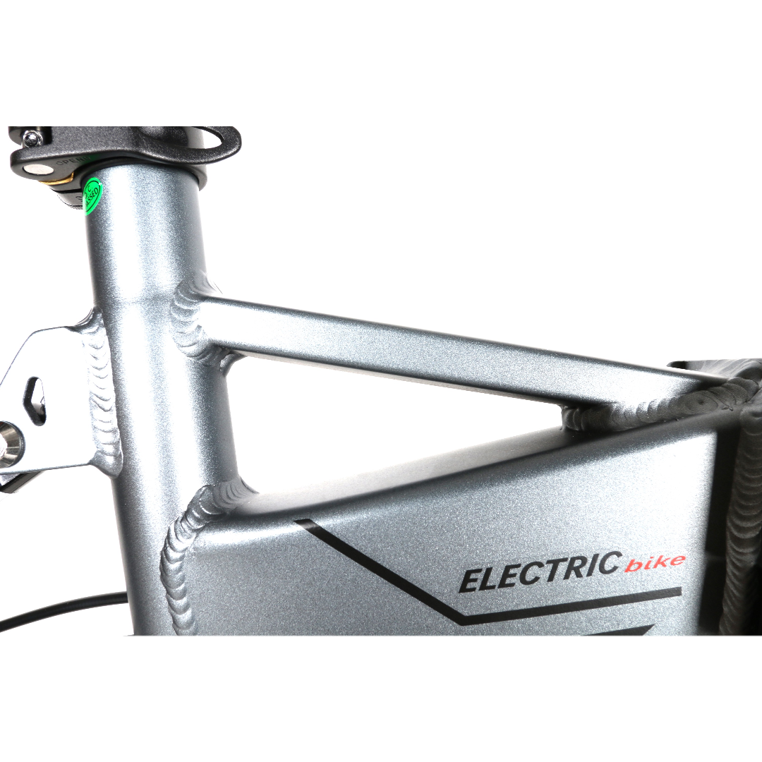 Surpmax Electric Bike - RENTAL Chartior