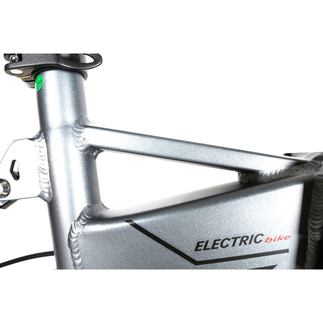 Surpmax Electric Bike Chartior